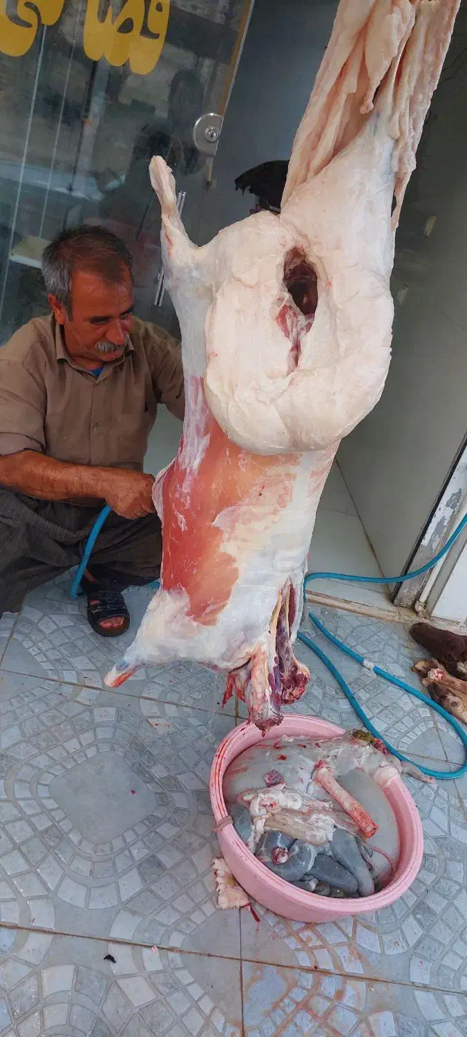 قصابی نمونه|خوردنی و آشامیدنی|پلدختر, |دیوار