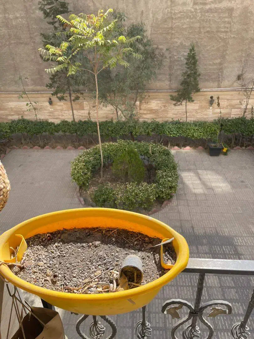 اجاره آپارتمان ۸۰ متری در شهرک آزادی