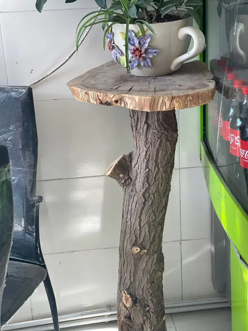 پایه گل|گل و گیاه طبیعی|نیشابور, شهرک بهارستان|دیوار