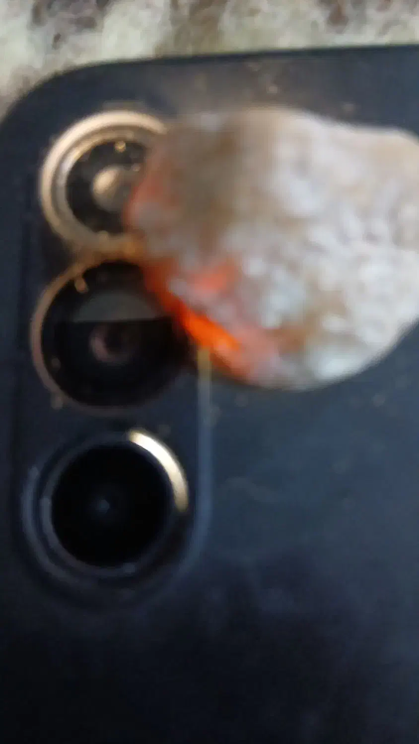 سنگ کلکسیونی|کلکسیون و سرگرمی|ابهر, |دیوار