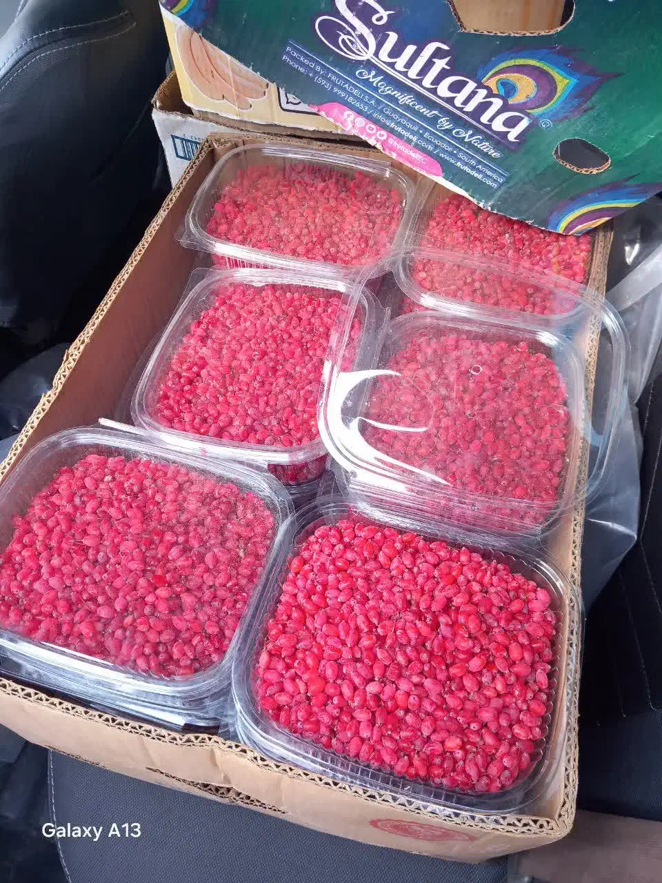 زرشک فقط امروزکیلویی 200|خوردنی و آشامیدنی|مشهد, شهرک بهارستان|دیوار