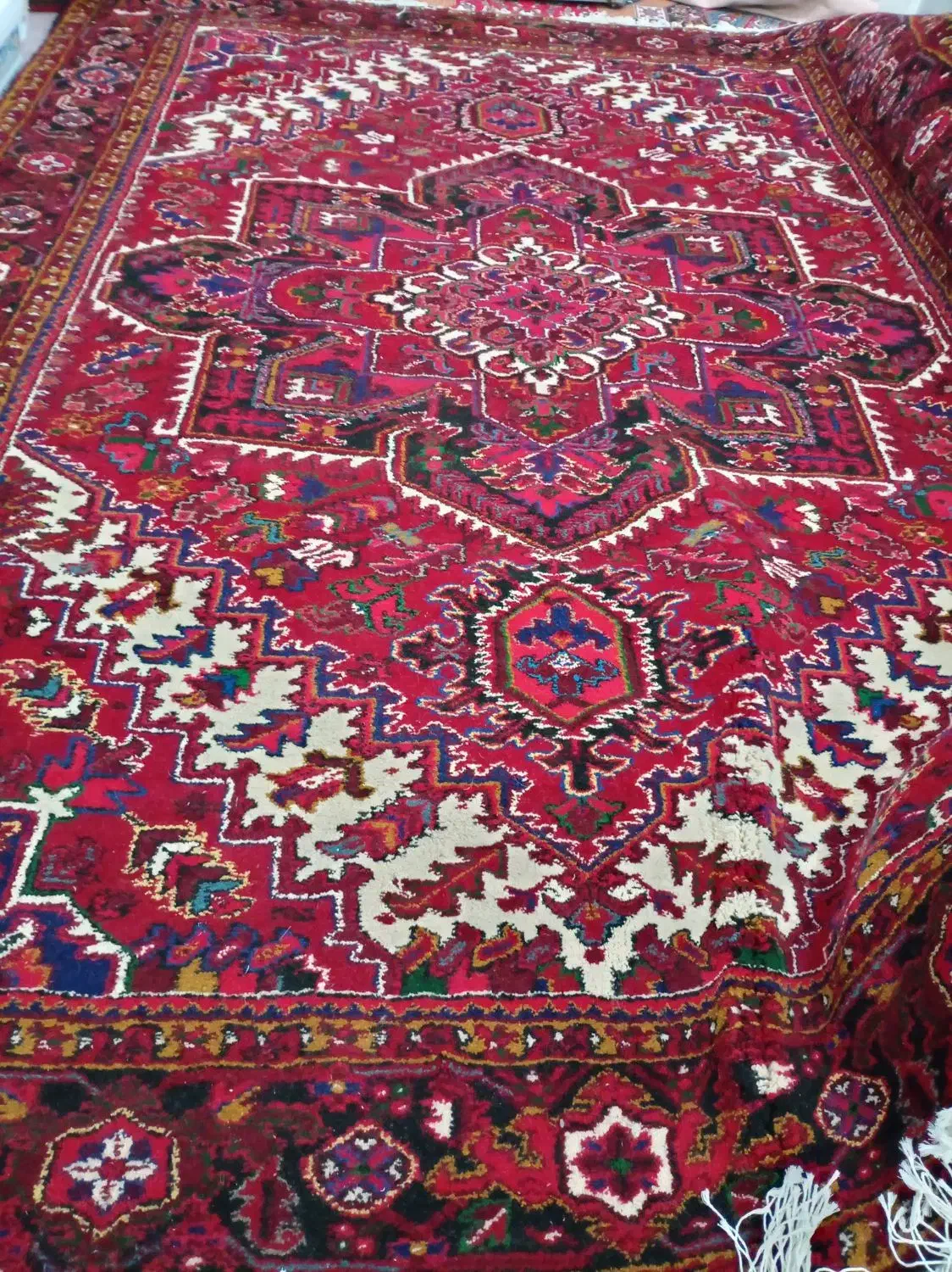 فرش 12 متری جانقور|فرش|خواجه, |دیوار