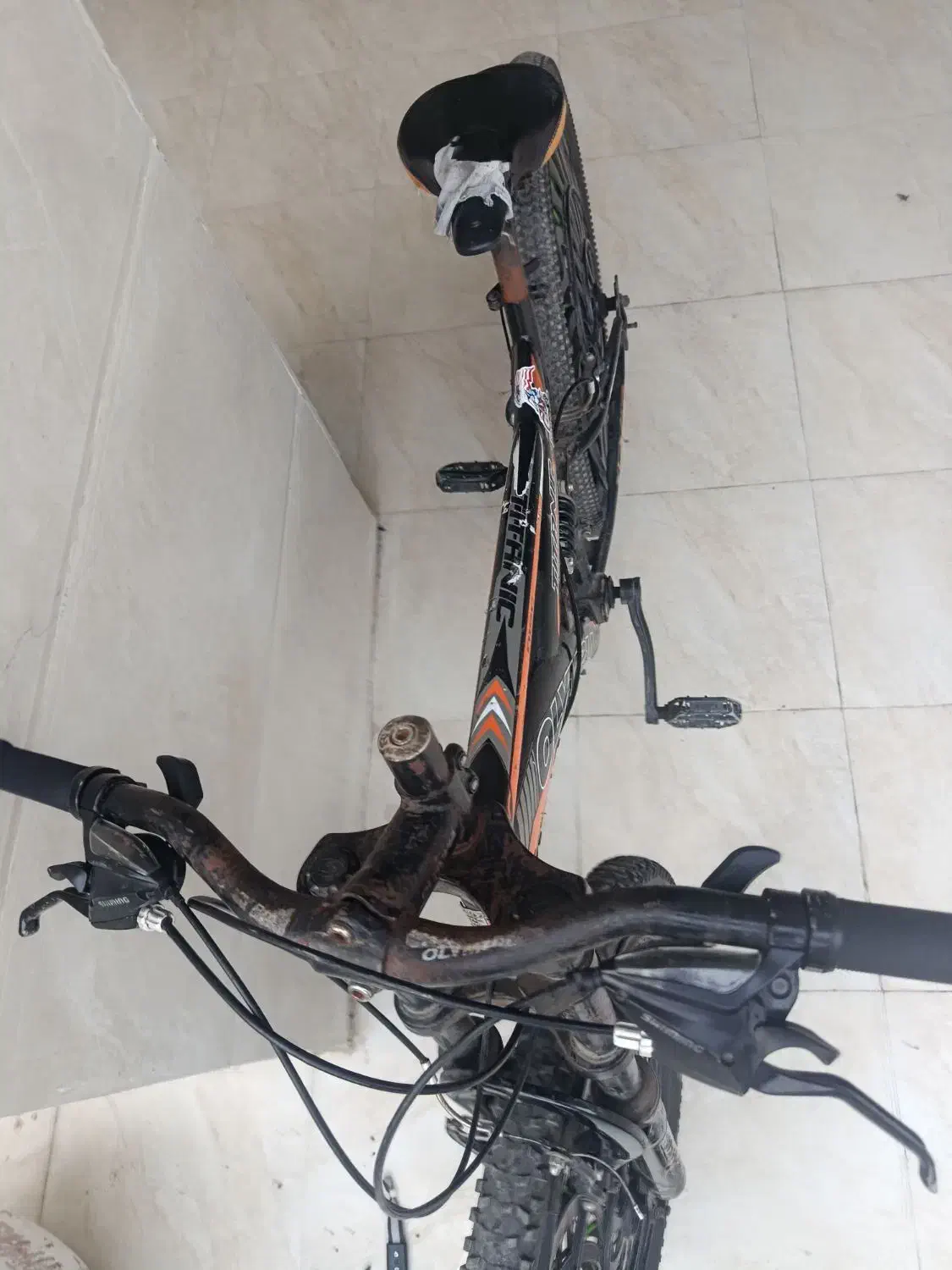 دوچرخه|دوچرخه، اسکیت، اسکوتر|رشت, نظری|دیوار