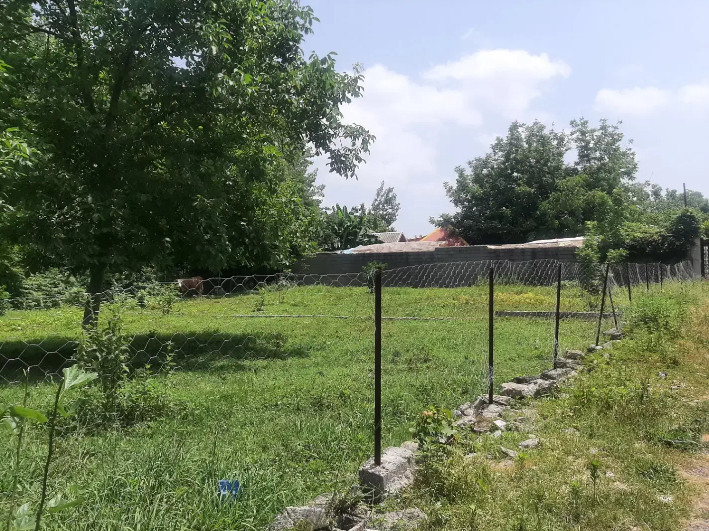 فروش زمین 400 متری مسکونی روستایی چشم انداز جنگلی|فروش زمین و ملک کلنگی|صومعهسرا, |دیوار