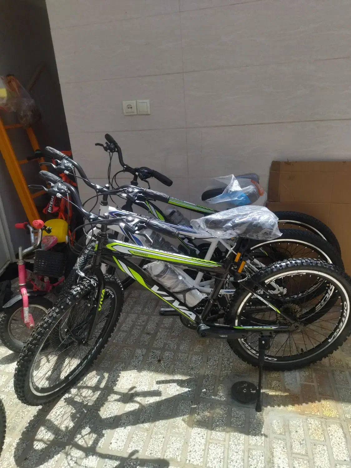 دوچرخه دنده ای آکبند و صفر|دوچرخه، اسکیت، اسکوتر|تربت‌حیدریه, منظر|دیوار