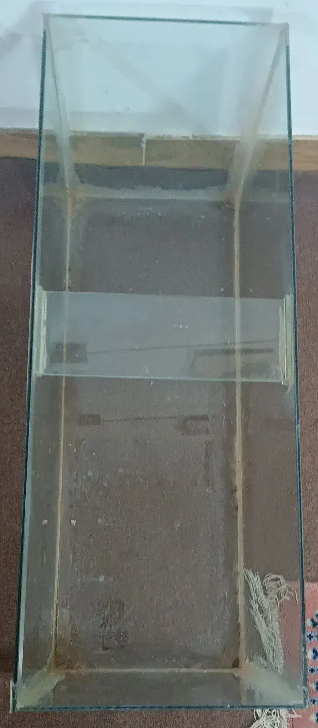 اکواریوم بزرگ|ماهی|گلبهار, نوبهار|دیوار