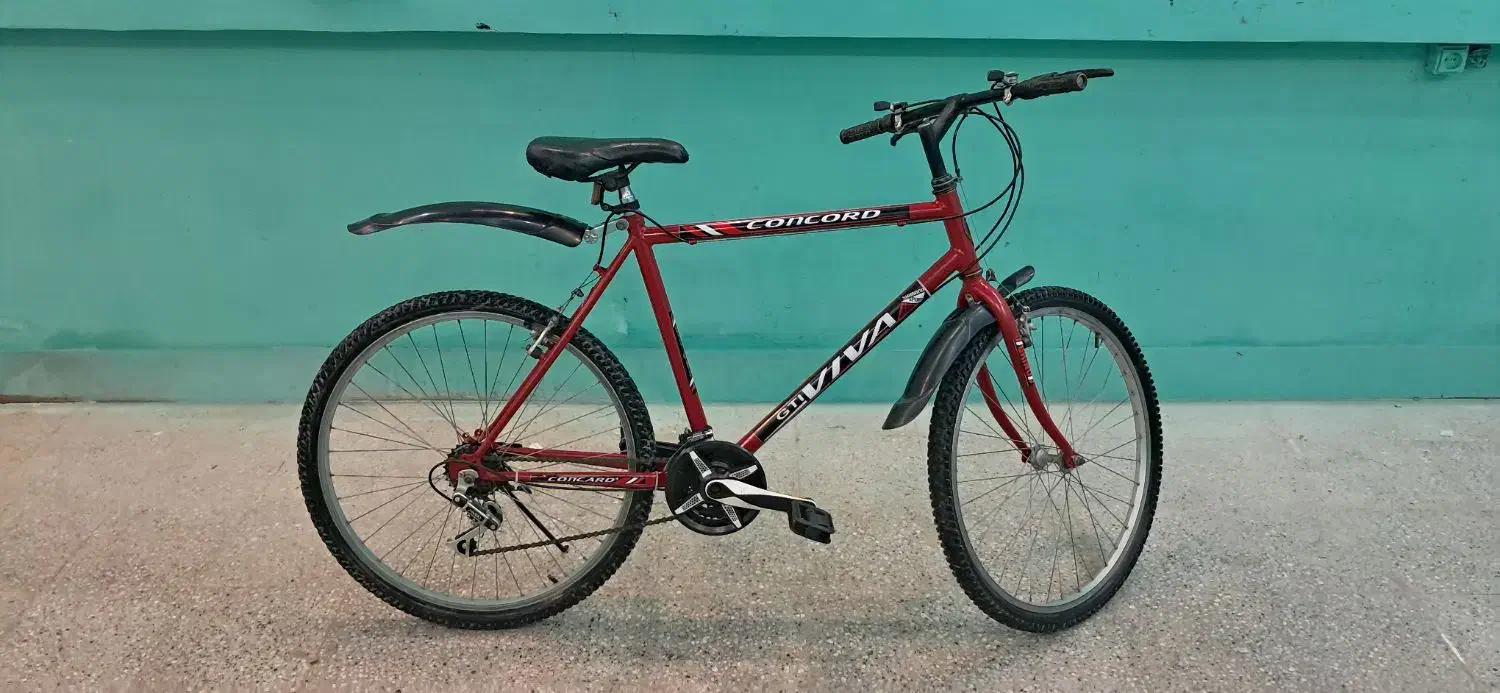 دوچرخه ۲۶|دوچرخه، اسکیت، اسکوتر|تربتحیدریه, قائم|دیوار