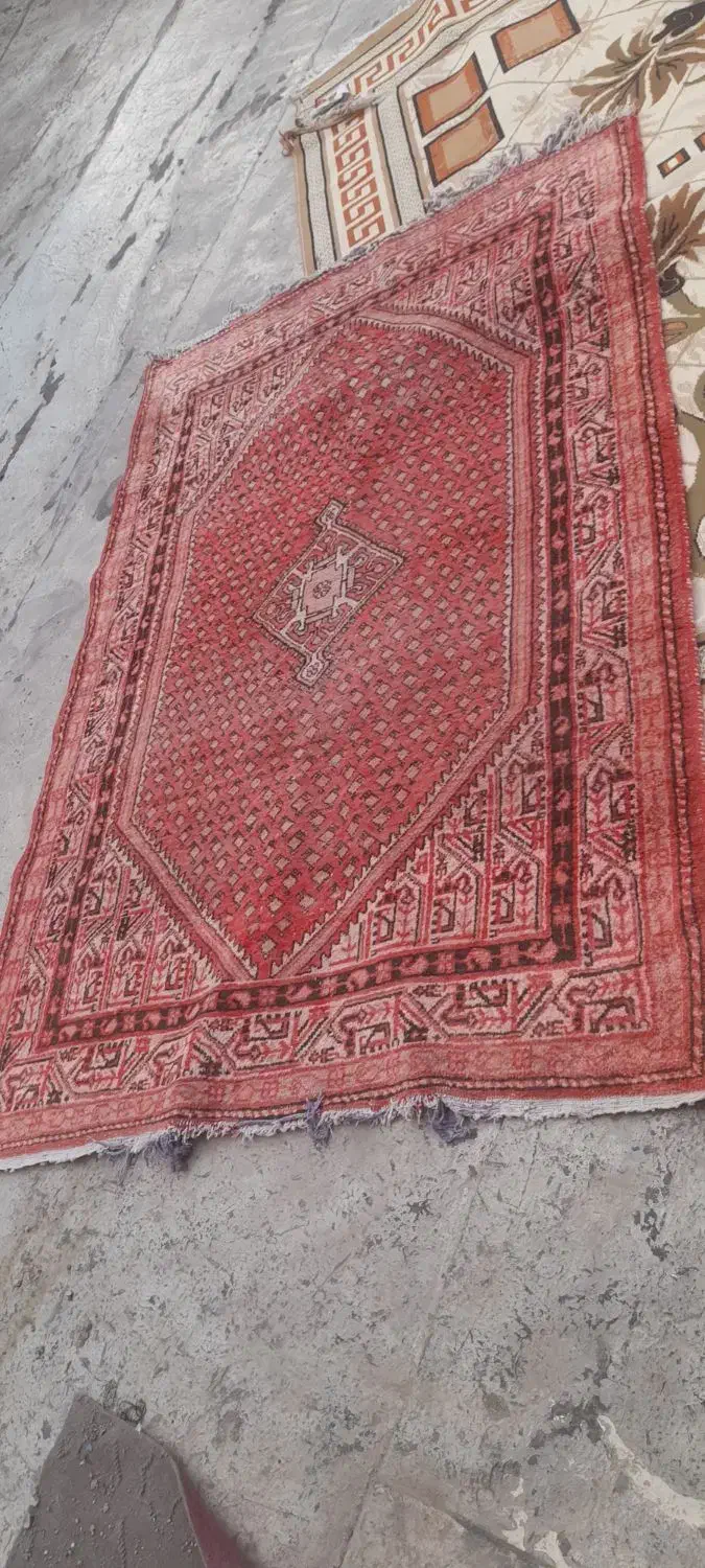 کناره دستباف|فرش|اراک, |دیوار