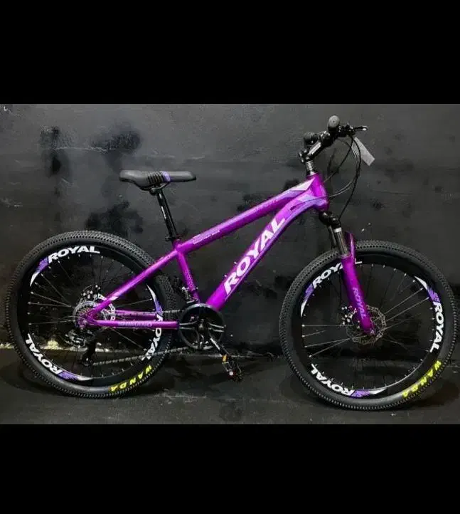 دوچرخه دخترانه سبد دار|دوچرخه، اسکیت، اسکوتر|زرند, |دیوار