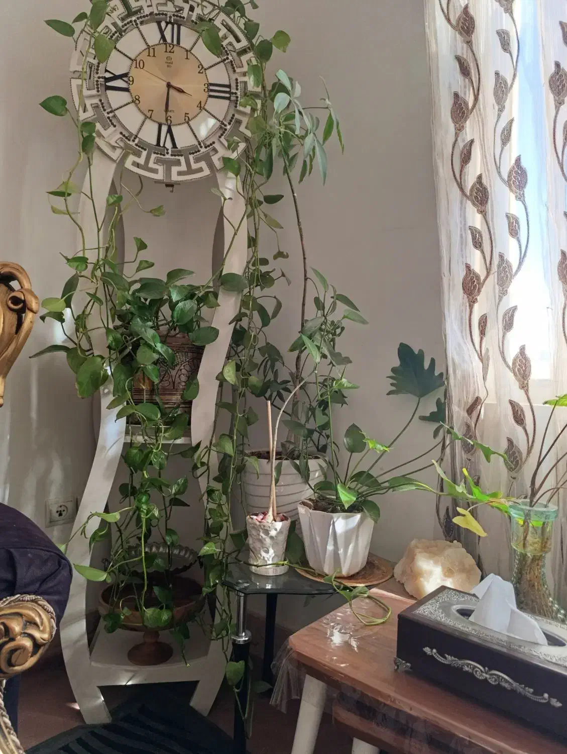 ساعت ایستاده|ساعت دیواری و تزئینی|قم, نخودی|دیوار