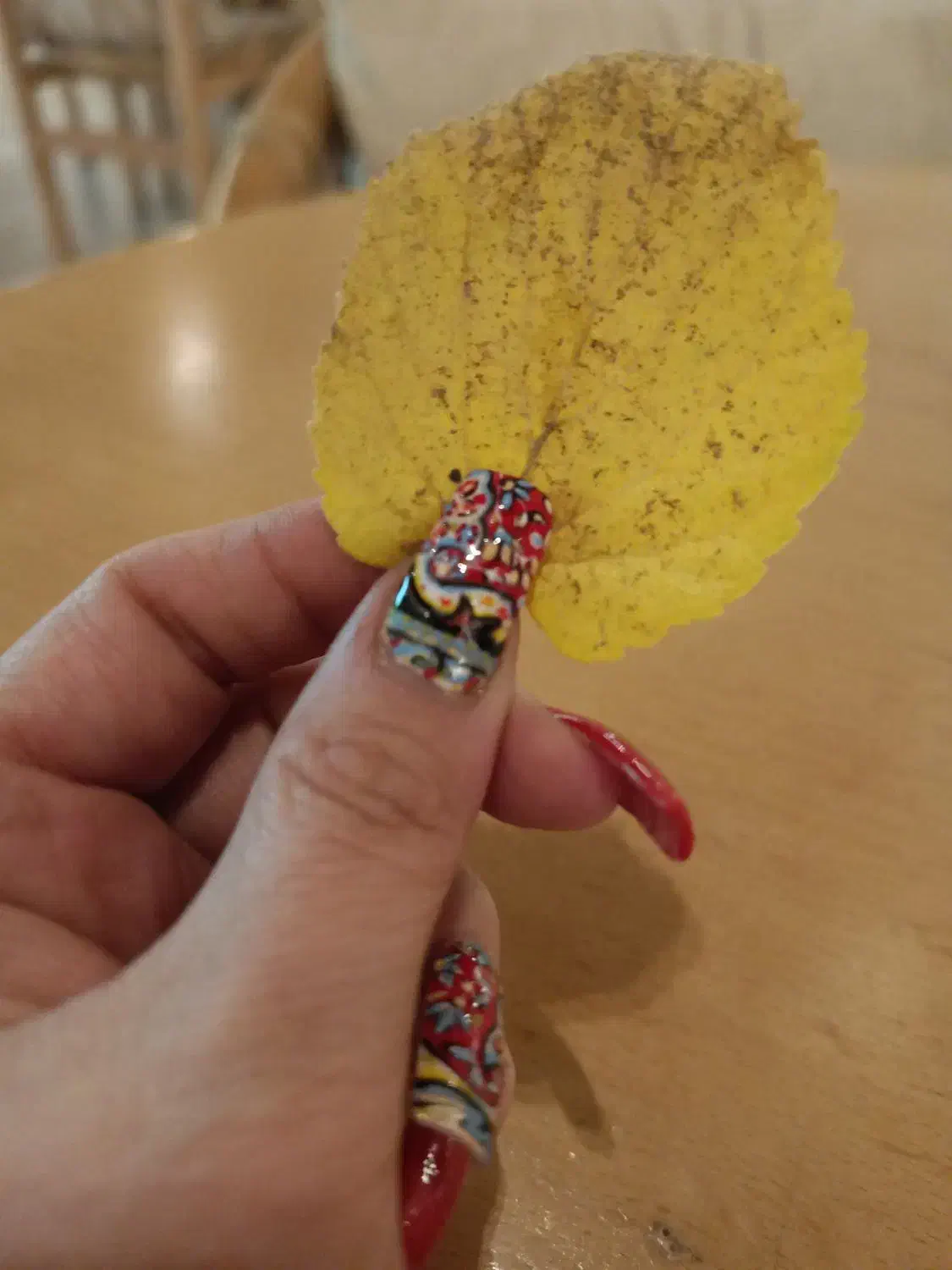 آموزش جامع کاشت و ترمیم ناخن|خدمات آموزشی|تهران, تهرانپارس جنوبی|دیوار