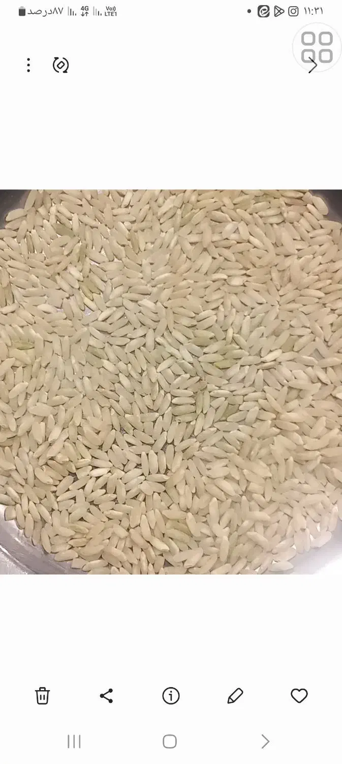 برنج چمپا|خوردنی و آشامیدنی|یاسوج, |دیوار