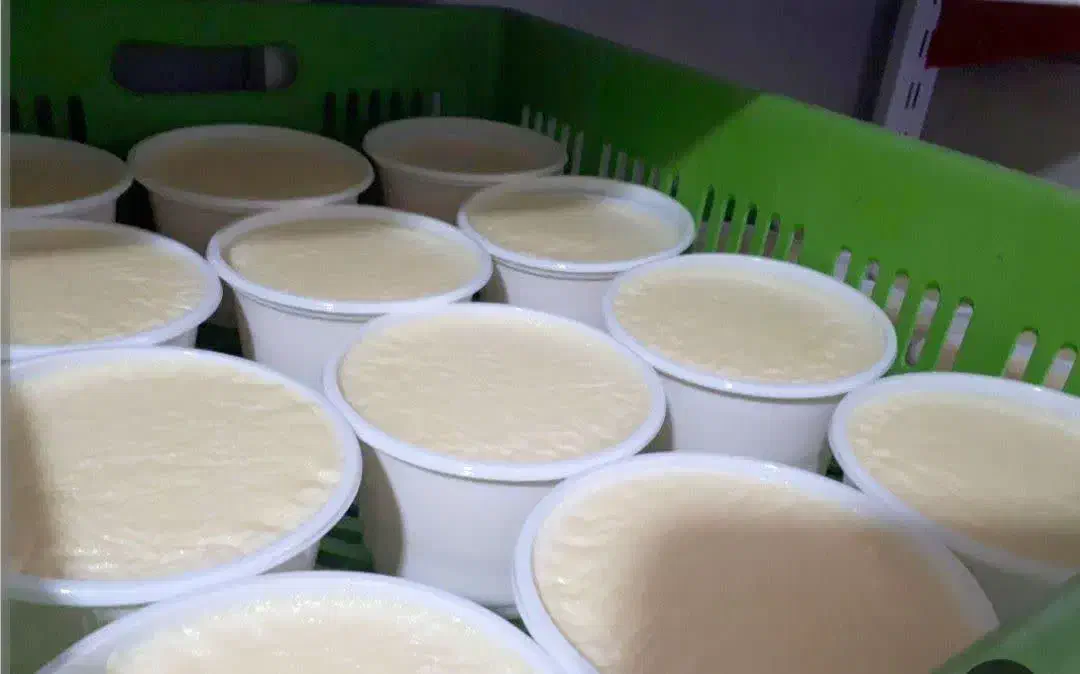 به یک فروشنده مجرب برای همکاری درلبنیاتی|استخدام خدمات فروشگاه و رستوران|قم, باغ شریفی|دیوار