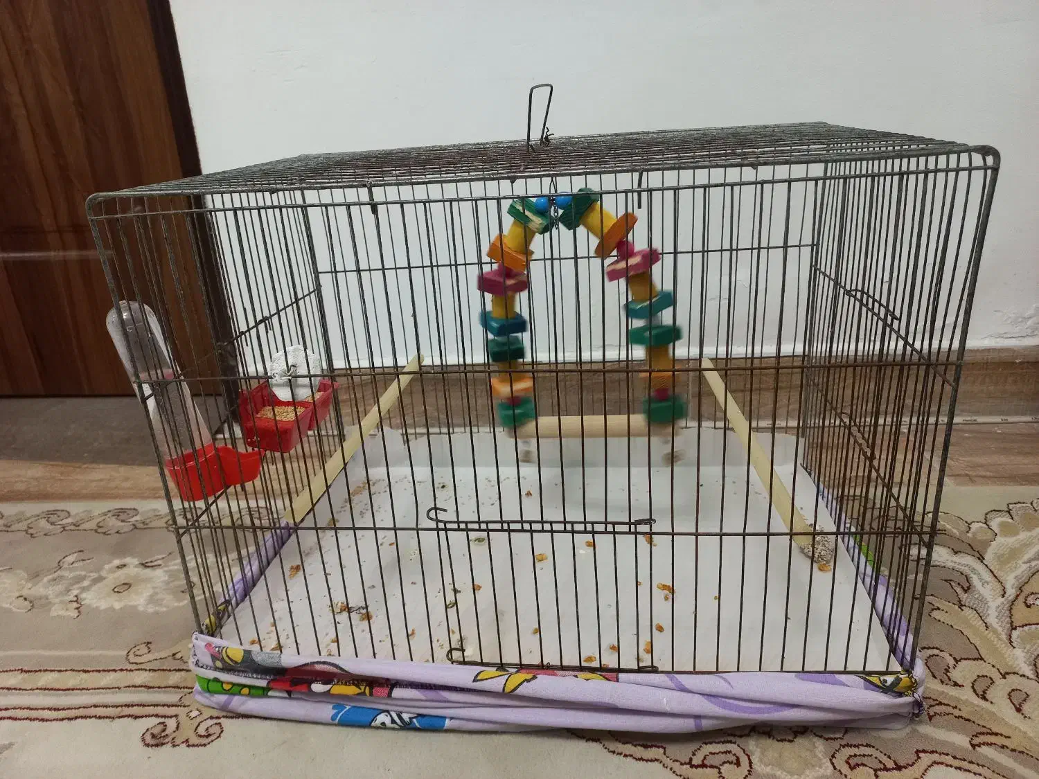 قفس پرنده|لوازم جانبی حیوانات|بندر انزلی, میان پشته|دیوار