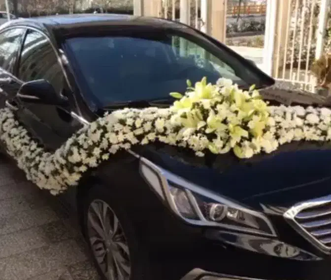 گل آرایی دسته گل عروس و ماشین عروس و باکس گل و ...|گل و گیاه طبیعی|شیراز, جانبازان|دیوار