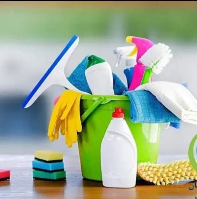 نظافت منزل|خدمات نظافت|قزوین, |دیوار