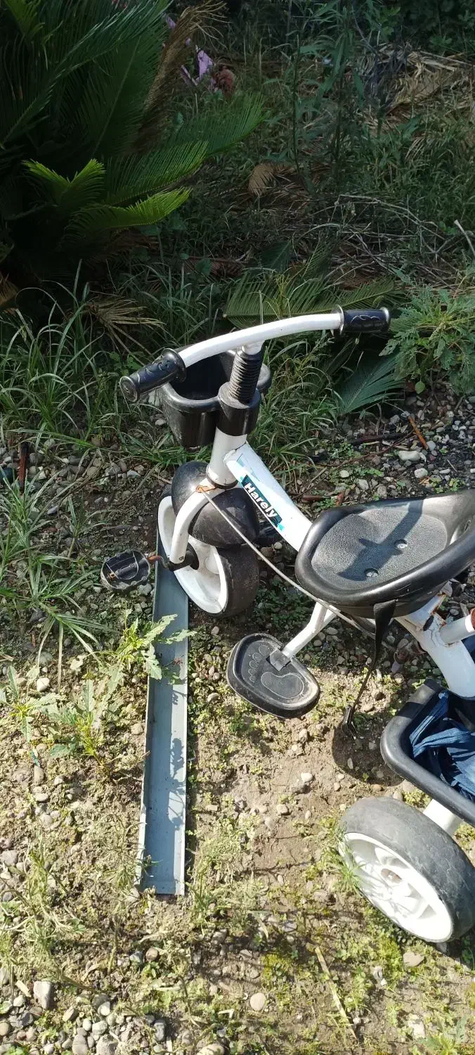 سه چرخه و صندلی ماشین|کالسکه و لوازم جانبی|بندر انزلی, شیلات|دیوار