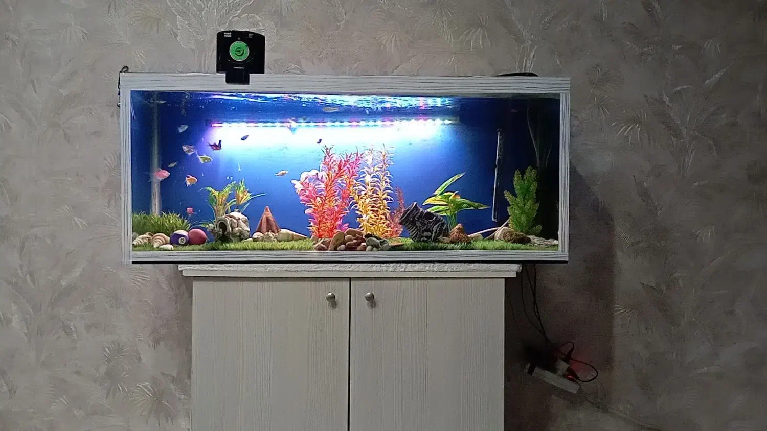 آکواریوم|ماهی|رباط‌کریم, رباط‌کریم|دیوار