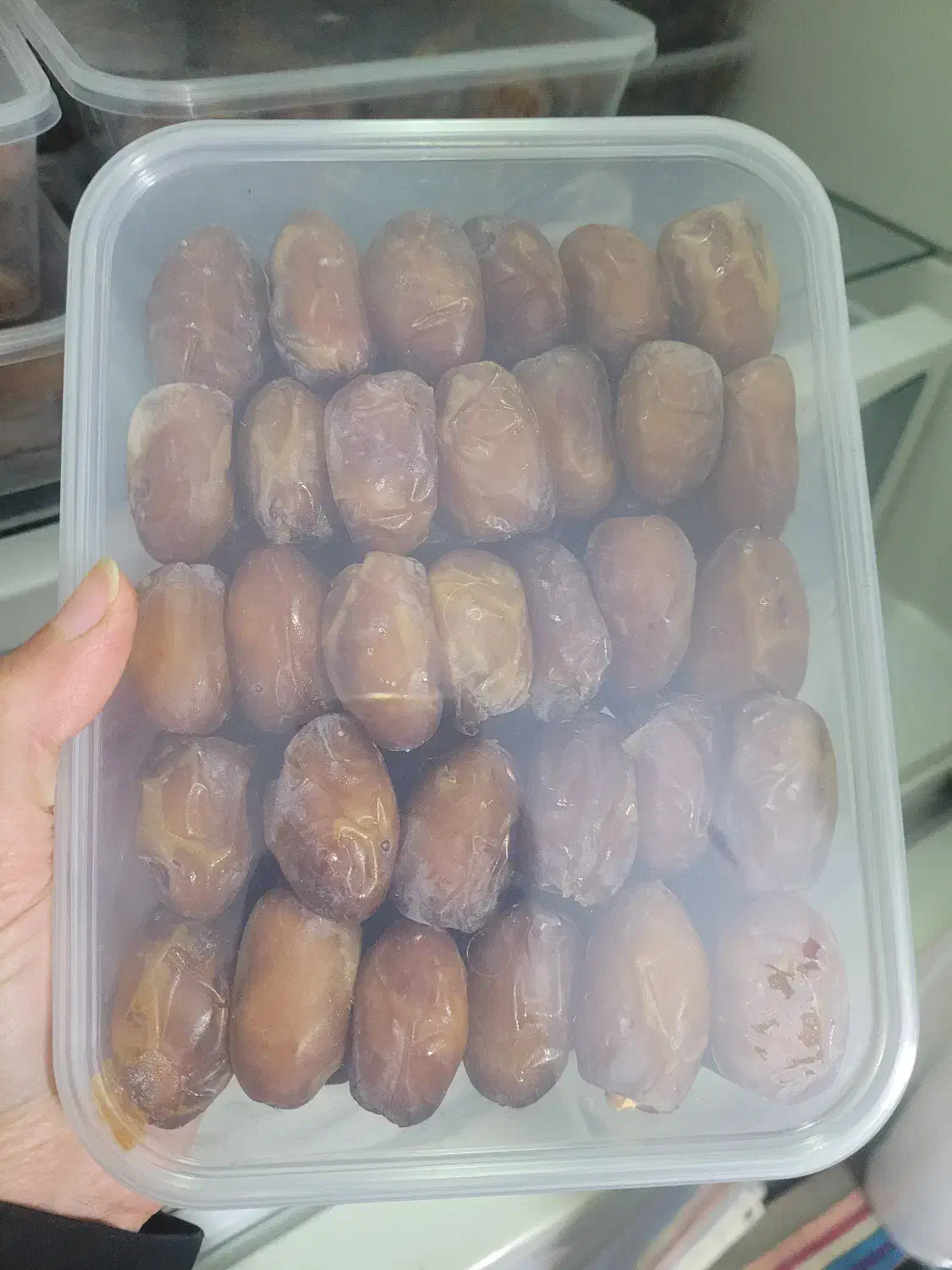 خرما کبکاب درجه یک|عمده‌فروشی|رشت, بلوار گیلان|دیوار