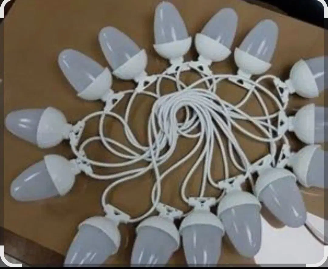 ریسه اجاره ریسه عروسی|خدمات پذیرایی، مراسم|رباط‌کریم, رباط‌کریم|دیوار