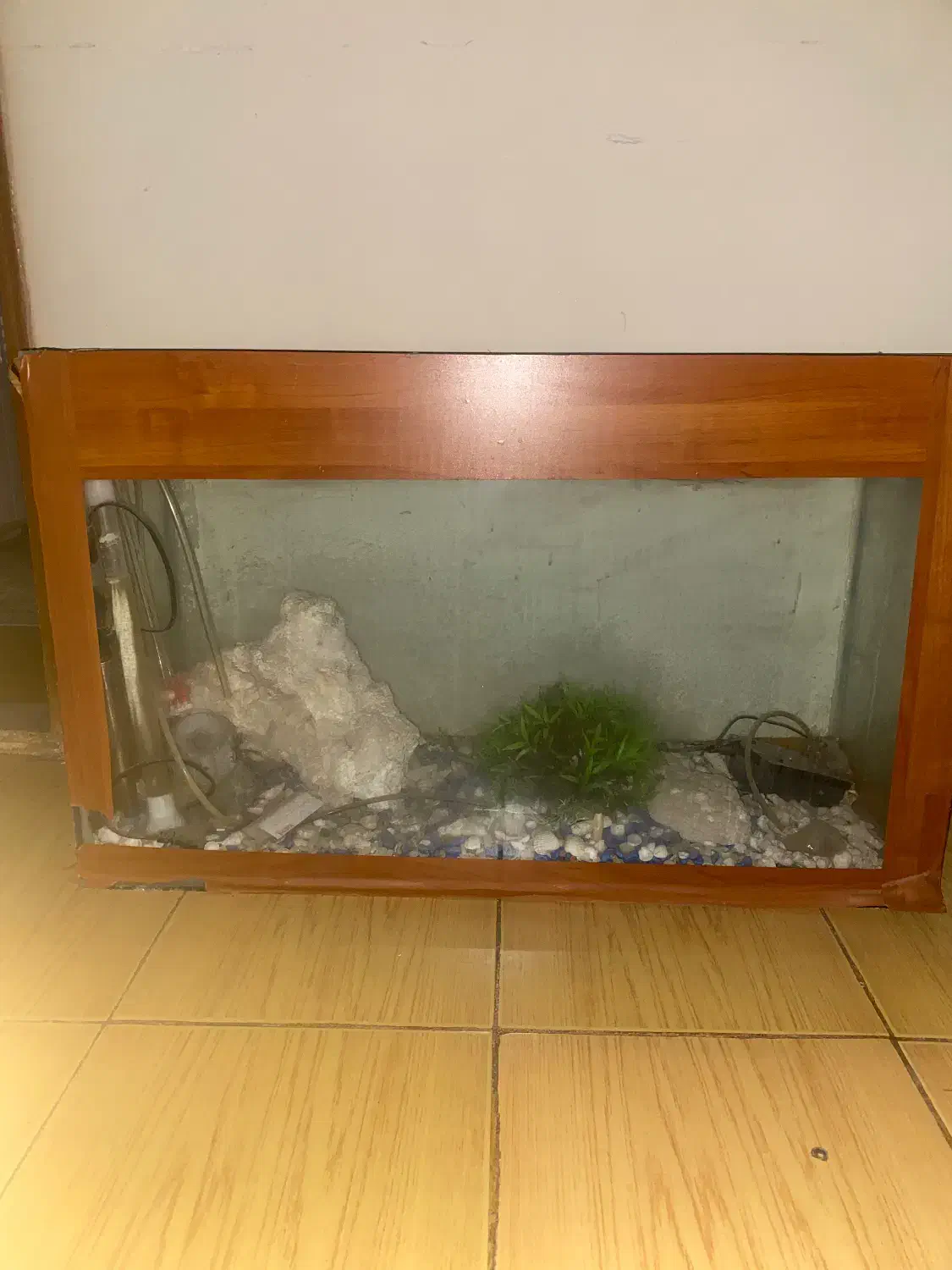 اکواریوم سالم بالوازم کامل سنگ ۳۵در ۱متر ارتفاع ۸۵|ماهی|مشهد, چهارچشمه|دیوار