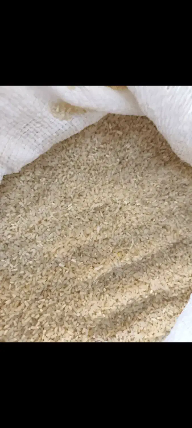 لاشه برنج هاشمی و لاشه برنج صدری|خوردنی و آشامیدنی|رشت, جهاد|دیوار