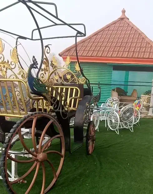 کالسکه اسب|اسب و تجهیزات اسبسواری|کازرون, |دیوار