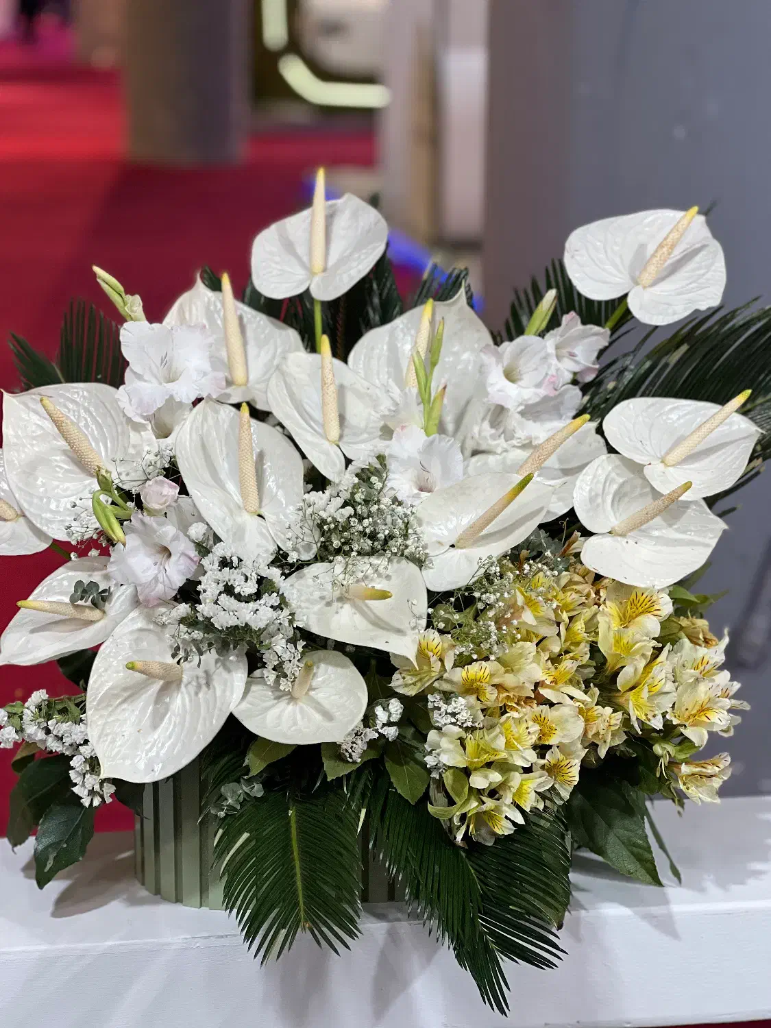 باکس گل آماده ارسال سبدگل طبیعی گلفروشی انلاین|گل و گیاه طبیعی|تهران, صادقیه|دیوار