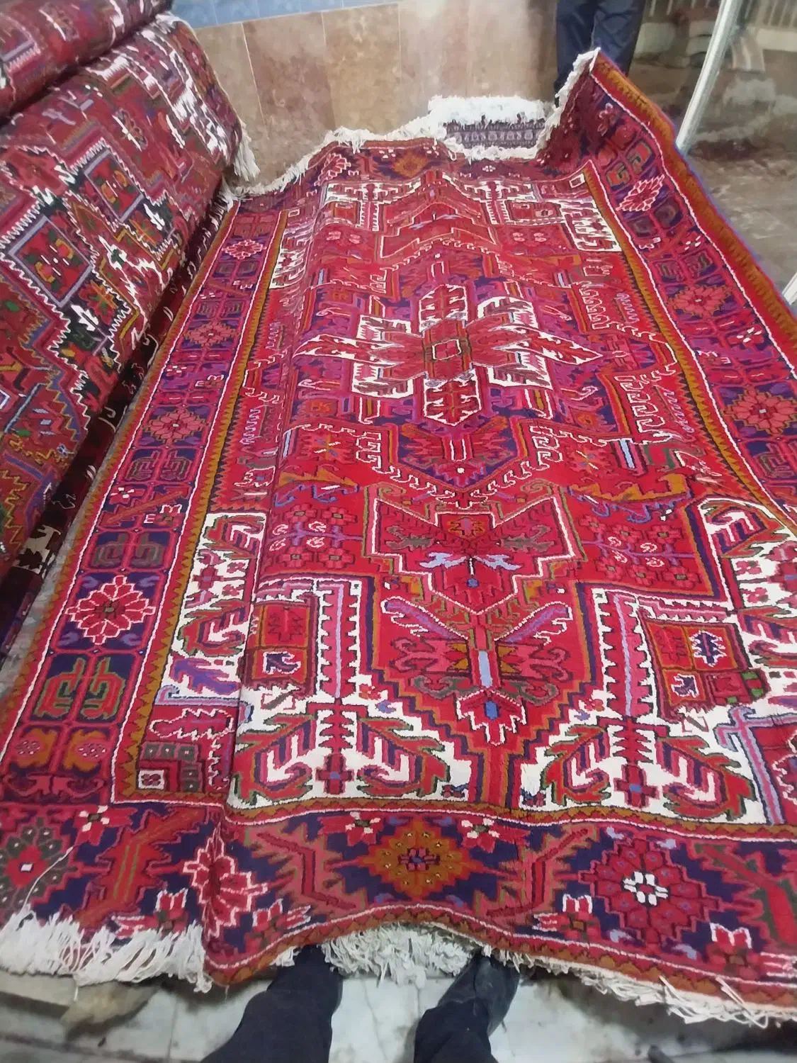 یک عدد فرش دستباف ۹ متری بیلوردی|فرش|بناب, |دیوار