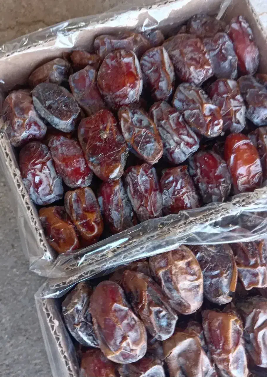 خرما کبکاب درجه یک شیره دار|خوردنی و آشامیدنی|جم, |دیوار