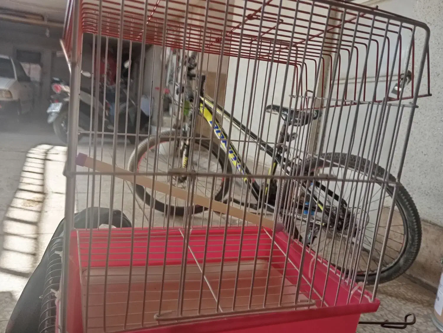 قفس پرنده|لوازم جانبی حیوانات|ری, علایین|دیوار