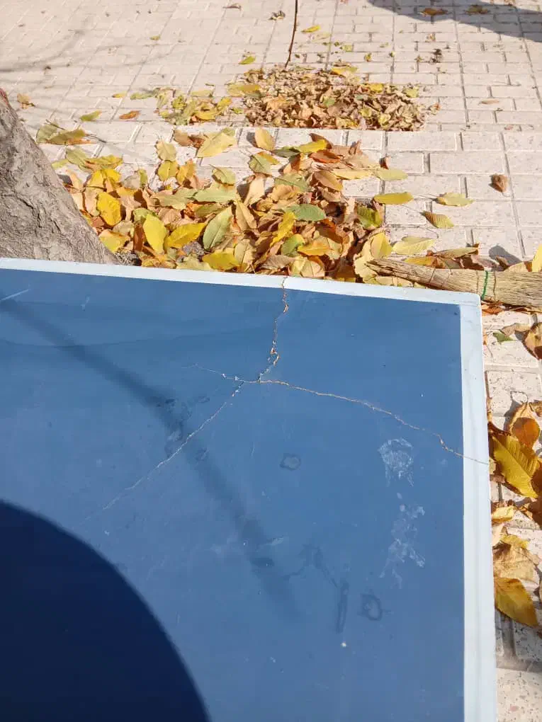 میز پینگ پونگ تا شو|ورزشهای توپی|کوهسار (البرز), |دیوار