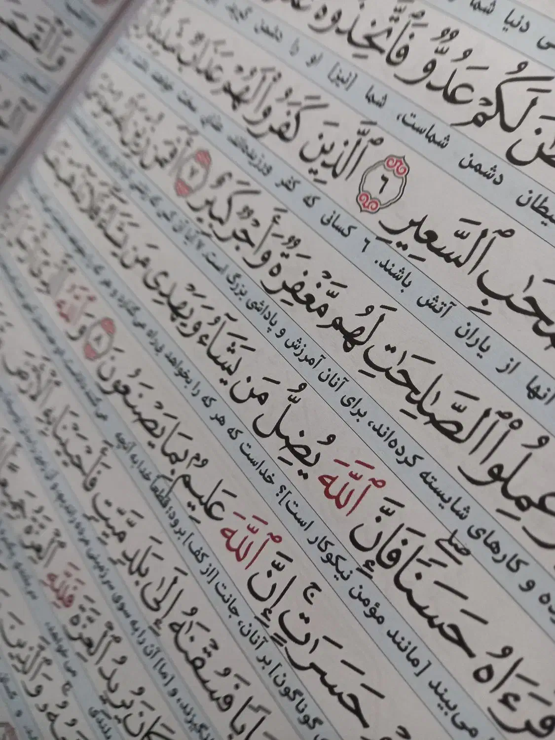 قران|کتاب و مجله مذهبی|تالش, هشتپر|دیوار