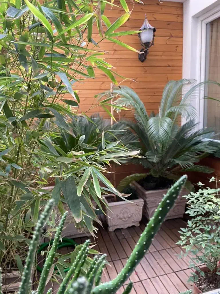 ۱۱۵ متر چناران|فروش آپارتمان|تهران, الهیه|دیوار