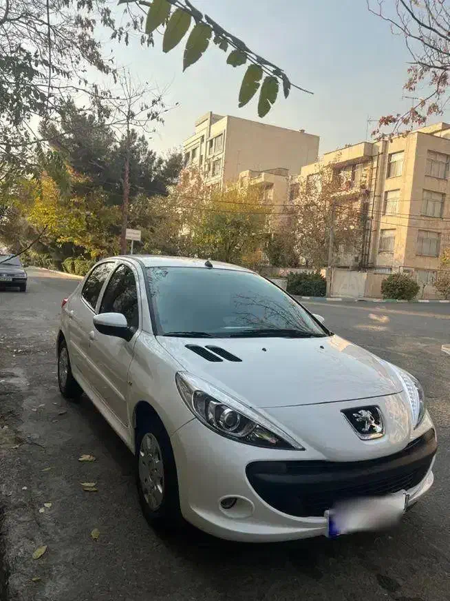 پژو۲۰۷ سقف فلزمدل۱۴۰۱|خودرو سواری و وانت|تهران, چوب تراش|دیوار