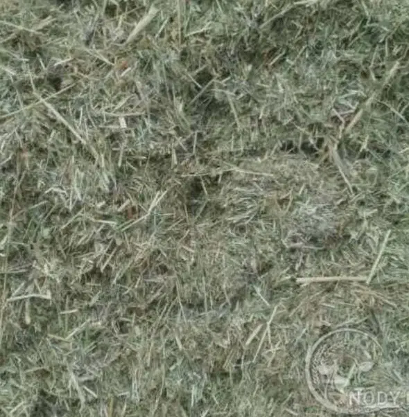 فروشی|لوازم جانبی حیوانات|قیدار, |دیوار