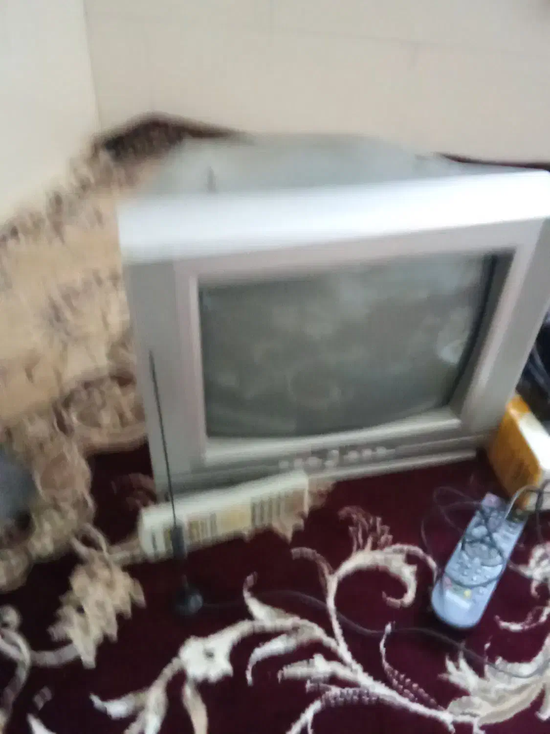 تلویزیون ۱۴ رنگی|تلویزیون و پروژکتور|علی‌آباد کتول, |دیوار