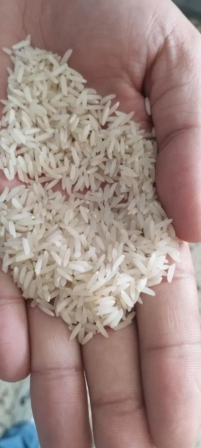 فروش عمده برنج|خوردنی و آشامیدنی|تهران, پاسداران|دیوار