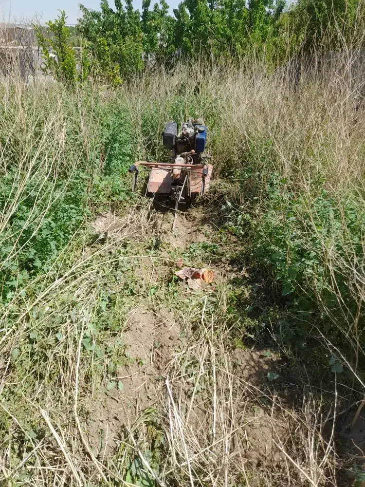 کلیه خدمات باغبانی و کشاورزی|خدمات باغبانی و درختکاری|مشهد, حرم مطهر رضوی|دیوار