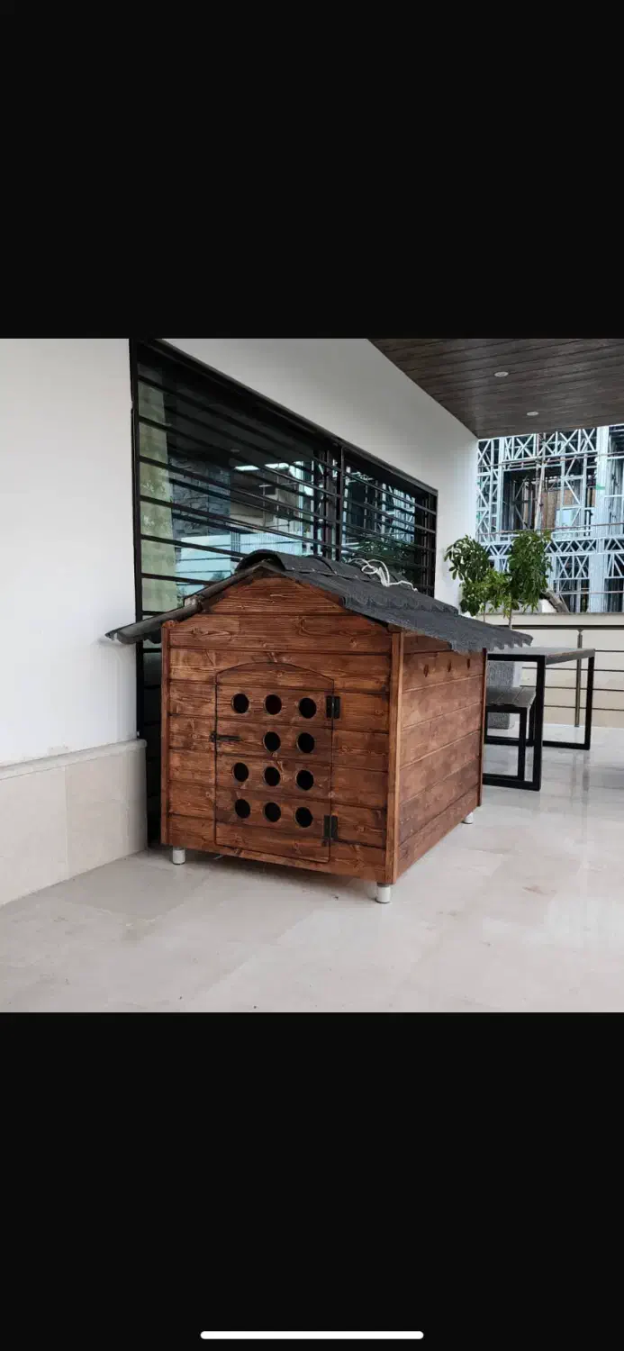 باکس چوبی سگ و گربه|لوازم جانبی حیوانات|کلارآباد, |دیوار