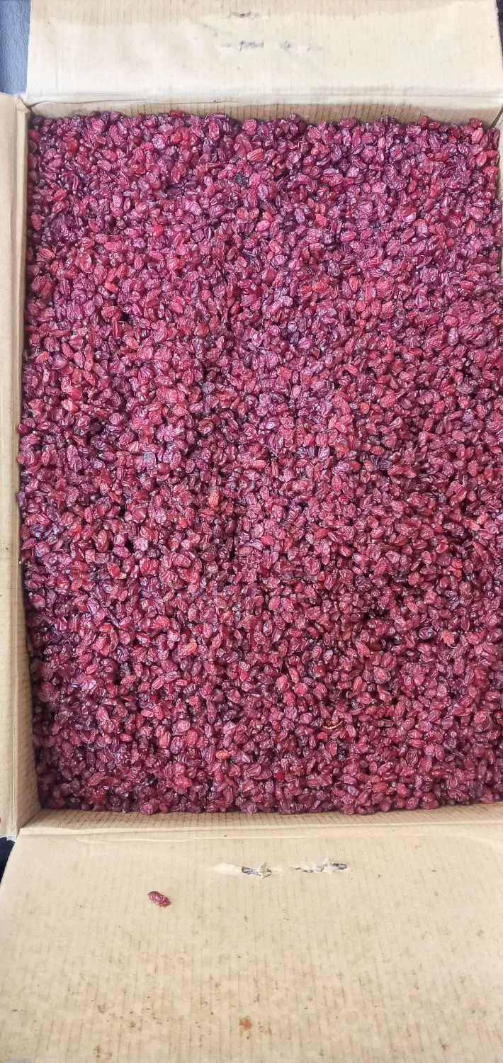 زرشک|خوردنی و آشامیدنی|رشت, سلیمانداراب|دیوار