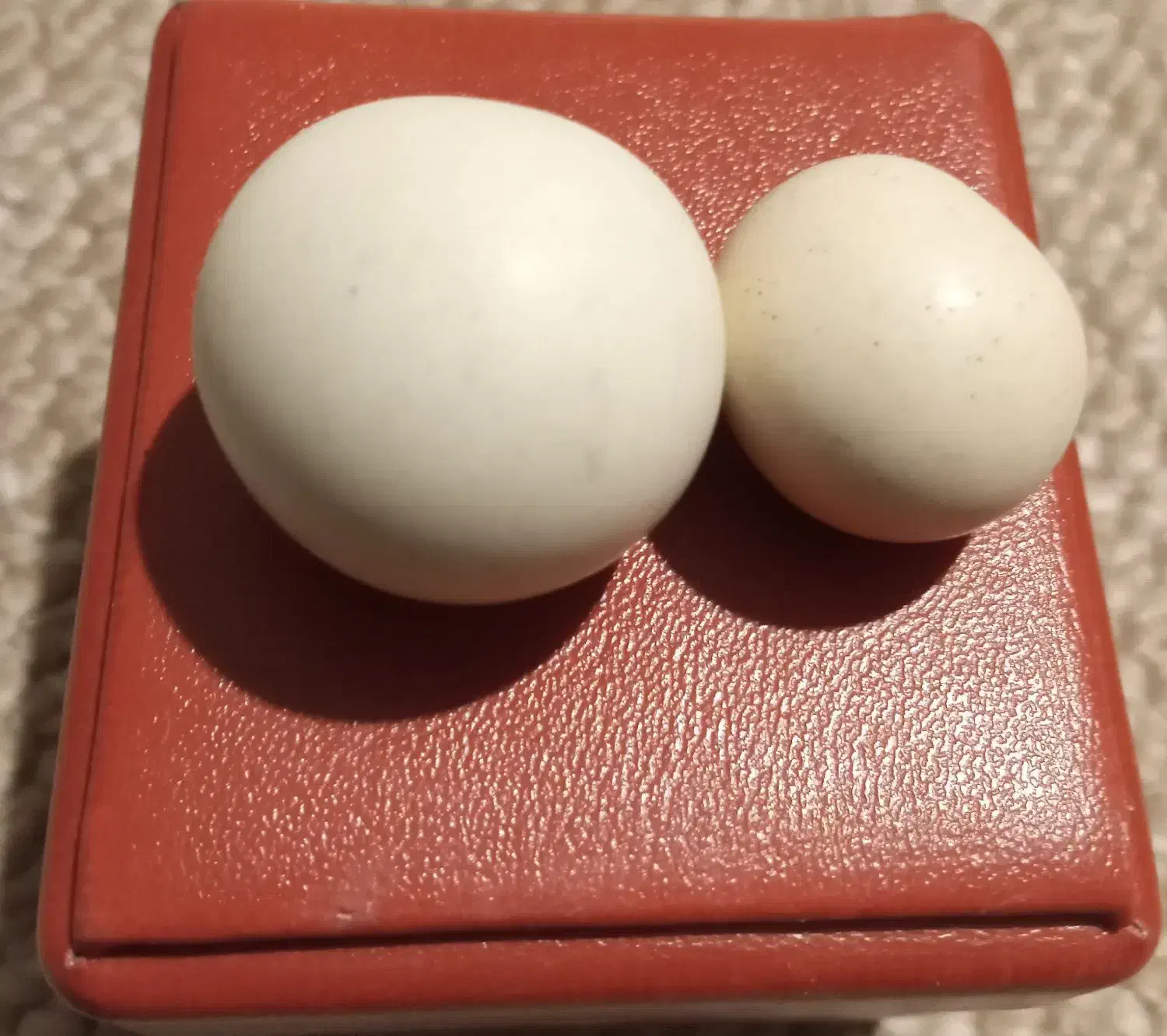 سنگ قیمتی سنگ آسیاب|کلکسیون و سرگرمی|تهران, تهرانسر شمالی|دیوار