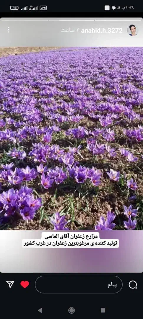 پیدا شده|اشیا|خرمآباد, |دیوار