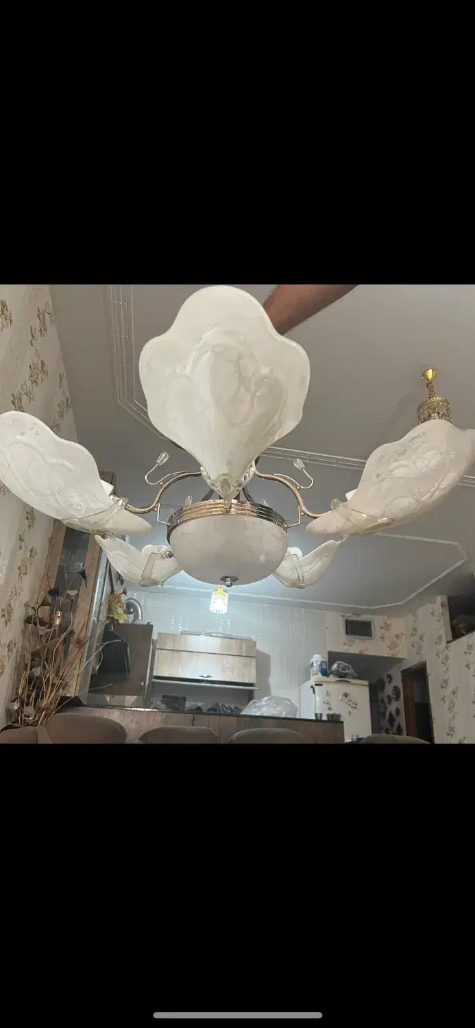 لوستر در حد اک پنج برگ سه برگ|لوستر و چراغ آویز|فسا, |دیوار