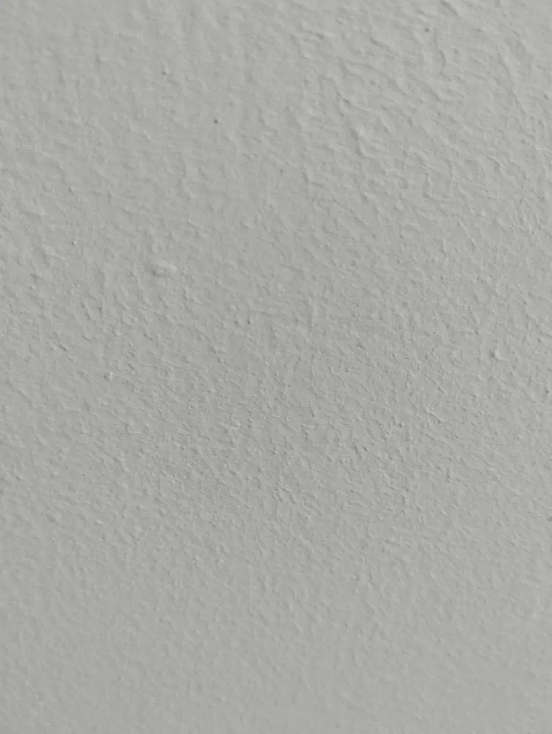 سگ پاکوتا|سگ|اسدآباد, |دیوار