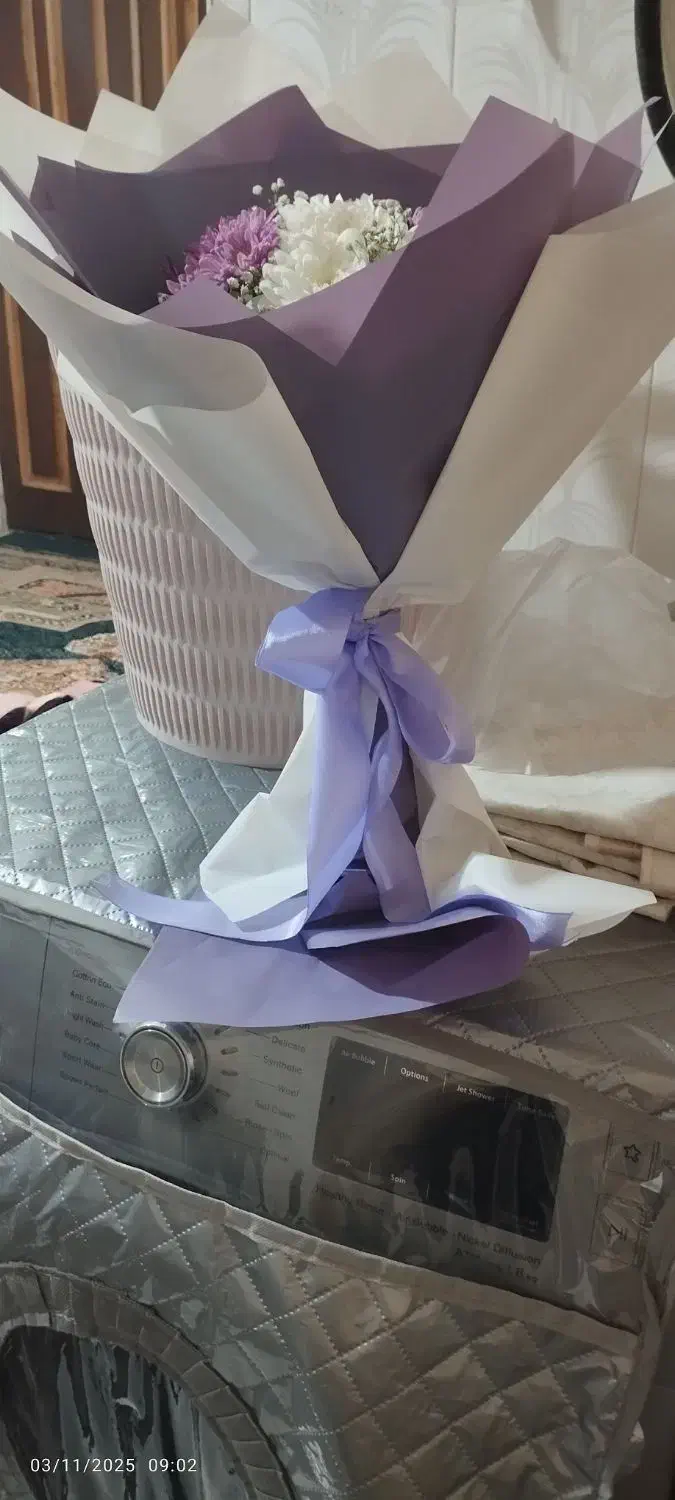 گل طبیعی|گل و گیاه طبیعی|مشهد, مصلی (کارمندان اول)|دیوار