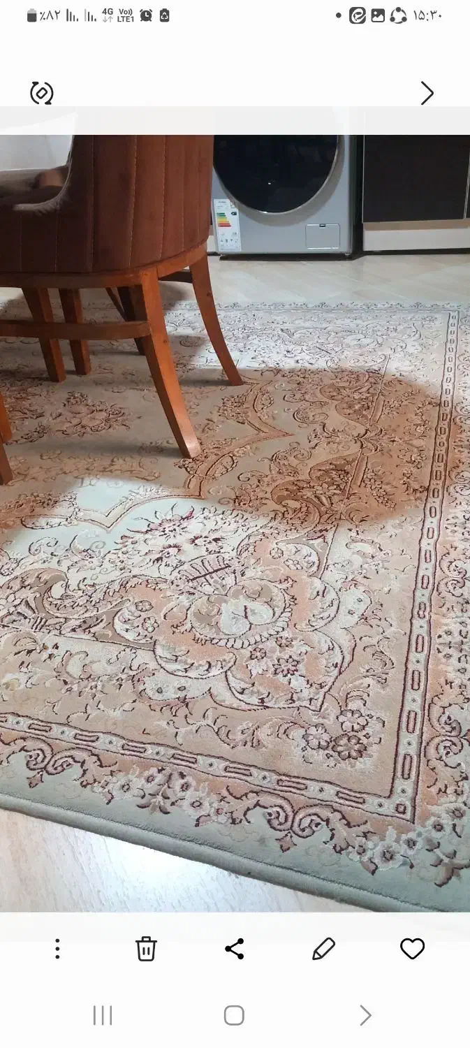 فرش ۶ متری|فرش|نوشهر, |دیوار