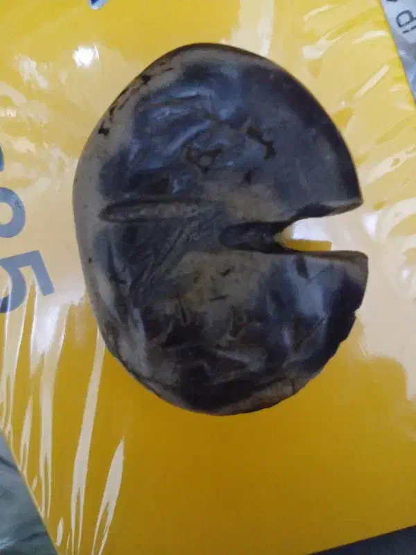 سنگ انتیک|کلکسیون اشیاء عتیقه|تهران, امیریه|دیوار