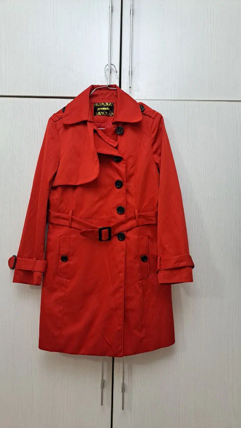 پالتو|لباس|تهران, آسمان|دیوار