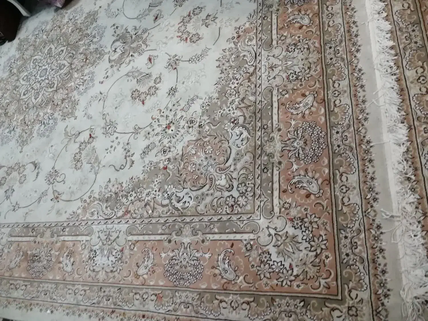 فرش|فرش|بیرجند, |دیوار